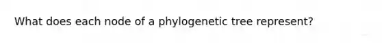 What does each node of a phylogenetic tree represent?