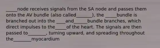 _____node receives signals from the SA node and passes them onto the AV bundle (also called_______), the _____bundle is branched out into the ____and______bundle branches, which direct impulses to the_____of <a href='https://www.questionai.com/knowledge/kya8ocqc6o-the-heart' class='anchor-knowledge'>the heart</a>. The signals are then passed to________, turning upward, and spreading throughout the________myocardium