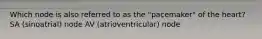 Which node is also referred to as the "pacemaker" of the heart? SA (sinoatrial) node AV (atrioventricular) node