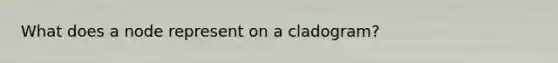 What does a node represent on a cladogram?