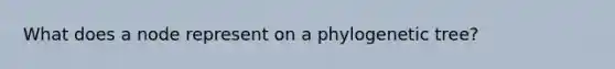 What does a node represent on a phylogenetic tree?