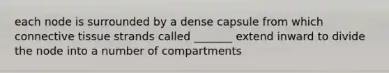 each node is surrounded by a dense capsule from which connective tissue strands called _______ extend inward to divide the node into a number of compartments