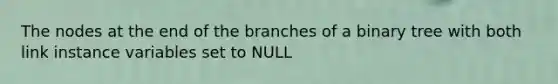 The nodes at the end of the branches of a binary tree with both link instance variables set to NULL