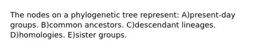 The nodes on a phylogenetic tree represent: A)present-day groups. B)common ancestors. C)descendant lineages. D)homologies. E)sister groups.