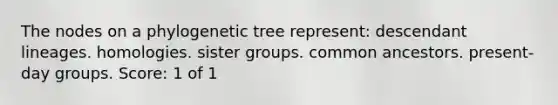 The nodes on a phylogenetic tree represent: descendant lineages. homologies. sister groups. common ancestors. present-day groups. Score: 1 of 1