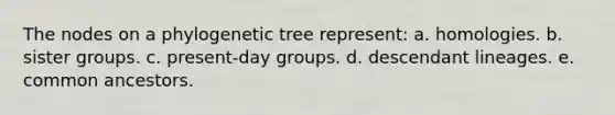 The nodes on a phylogenetic tree represent: a. homologies. b. sister groups. c. present-day groups. d. descendant lineages. e. common ancestors.