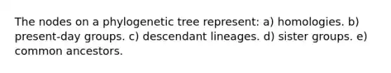 The nodes on a phylogenetic tree represent: a) homologies. b) present-day groups. c) descendant lineages. d) sister groups. e) common ancestors.