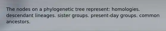 The nodes on a phylogenetic tree represent: homologies. descendant lineages. sister groups. present-day groups. common ancestors.