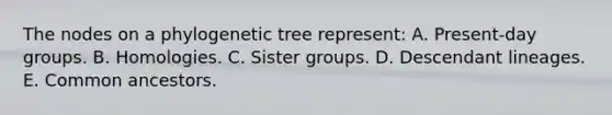 The nodes on a phylogenetic tree represent: A. Present-day groups. B. Homologies. C. Sister groups. D. Descendant lineages. E. Common ancestors.