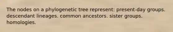 The nodes on a phylogenetic tree represent: present-day groups. descendant lineages. common ancestors. sister groups. homologies.