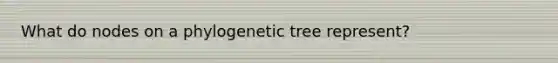 What do nodes on a phylogenetic tree represent?