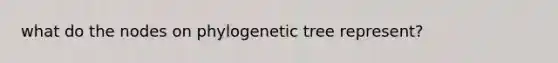 what do the nodes on phylogenetic tree represent?