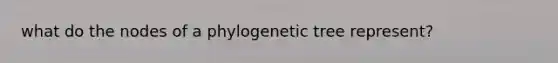 what do the nodes of a phylogenetic tree represent?