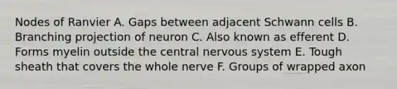 Nodes of Ranvier A. Gaps between adjacent Schwann cells B. Branching projection of neuron C. Also known as efferent D. Forms myelin outside the central nervous system E. Tough sheath that covers the whole nerve F. Groups of wrapped axon