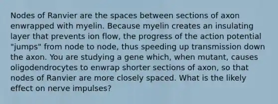 Nodes of Ranvier are the spaces between sections of axon enwrapped with myelin. Because myelin creates an insulating layer that prevents ion flow, the progress of the action potential "jumps" from node to node, thus speeding up transmission down the axon. You are studying a gene which, when mutant, causes oligodendrocytes to enwrap shorter sections of axon, so that nodes of Ranvier are more closely spaced. What is the likely effect on nerve impulses?