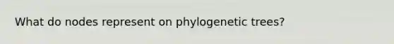 What do nodes represent on phylogenetic trees?