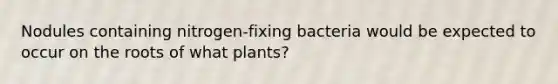 Nodules containing nitrogen-fixing bacteria would be expected to occur on the roots of what plants?