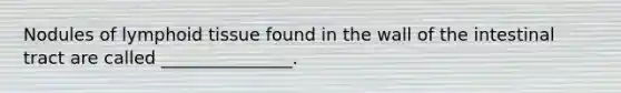 Nodules of lymphoid tissue found in the wall of the intestinal tract are called _______________.