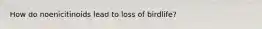 How do noenicitinoids lead to loss of birdlife?