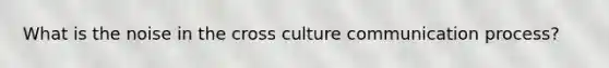 What is the noise in the cross culture communication process?