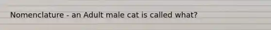 Nomenclature - an Adult male cat is called what?