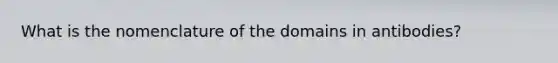 What is the nomenclature of the domains in antibodies?