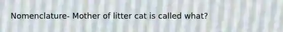 Nomenclature- Mother of litter cat is called what?