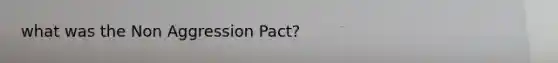 what was the Non Aggression Pact?