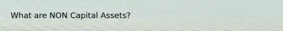 What are NON Capital Assets?