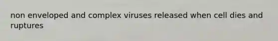 non enveloped and complex viruses released when cell dies and ruptures