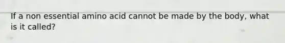 If a non essential amino acid cannot be made by the body, what is it called?