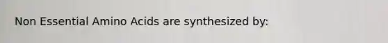 Non Essential Amino Acids are synthesized by: