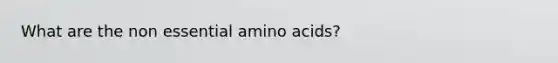 What are the non essential amino acids?