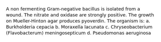 A non fermenting Gram-negative bacillus is isolated from a wound. The nitrate and oxidase are strongly positive. The growth on Mueller-Hinton agar produces pyoverdin. The organism is: a. Burkholderia cepacia b. Moraxella lacunata c. Chryseobacterium (Flavobacterum) meningosepticum d. Pseudomonas aeruginosa