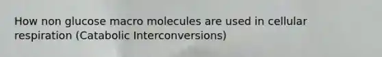 How non glucose macro molecules are used in cellular respiration (Catabolic Interconversions)