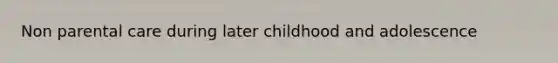 Non parental care during later childhood and adolescence