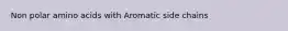 Non polar amino acids with Aromatic side chains