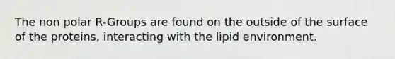 The non polar R-Groups are found on the outside of the surface of the proteins, interacting with the lipid environment.