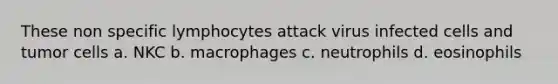 These non specific lymphocytes attack virus infected cells and tumor cells a. NKC b. macrophages c. neutrophils d. eosinophils