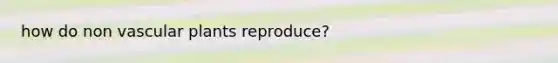 how do non <a href='https://www.questionai.com/knowledge/kbaUXKuBoK-vascular-plants' class='anchor-knowledge'>vascular plants</a> reproduce?