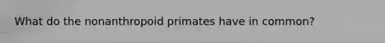 What do the nonanthropoid primates have in common?