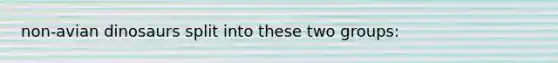 non-avian dinosaurs split into these two groups: