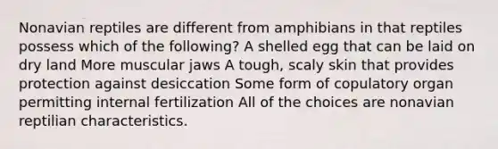 Nonavian reptiles are different from amphibians in that reptiles possess which of the following? A shelled egg that can be laid on dry land More muscular jaws A tough, scaly skin that provides protection against desiccation Some form of copulatory organ permitting internal fertilization All of the choices are nonavian reptilian characteristics.