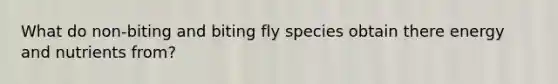 What do non-biting and biting fly species obtain there energy and nutrients from?