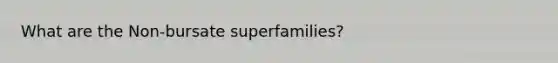 What are the Non-bursate superfamilies?