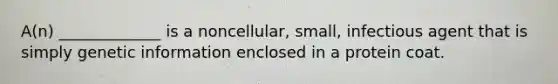 A(n) _____________ is a noncellular, small, infectious agent that is simply genetic information enclosed in a protein coat.