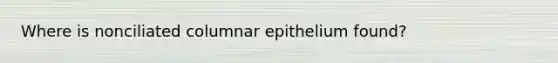 Where is nonciliated columnar epithelium found?