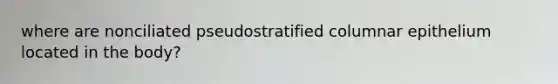 where are nonciliated pseudostratified columnar epithelium located in the body?