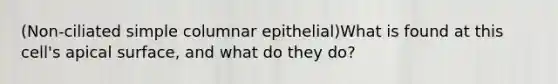 (Non-ciliated simple columnar epithelial)What is found at this cell's apical surface, and what do they do?