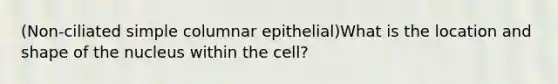 (Non-ciliated simple columnar epithelial)What is the location and shape of the nucleus within the cell?